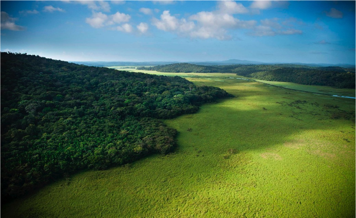 La loi dite « Girardin » a créé des dispositifs de défiscalisation qui accordent aux contribuables domiciliés en France une réduction d’impôt sur le revenu, en contrepartie d’une aide financière bénéficiant à l’économie ultramarine. Plus de 30 000 contribuables en bénéficient chaque année pour réduire jusqu’à 20% l’impact financier de leur impôt, tout en soutenant le développement économique outre-mer.