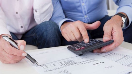 Il existe trois types de dispositifs, le « Girardin industriel », le « Girardin agricole » et le « Girardin logement social » au fonctionnement similaire : l’investisseur apporte des fonds au sein d’une « société de portage » dont il devient associé. Ces fonds servent à financer les investissements d’une société exploitante industrielle, agricole ou d’un organisme de logement social, et l’investisseur bénéficie d’un avantage fiscal en contrepartie de son investissement.