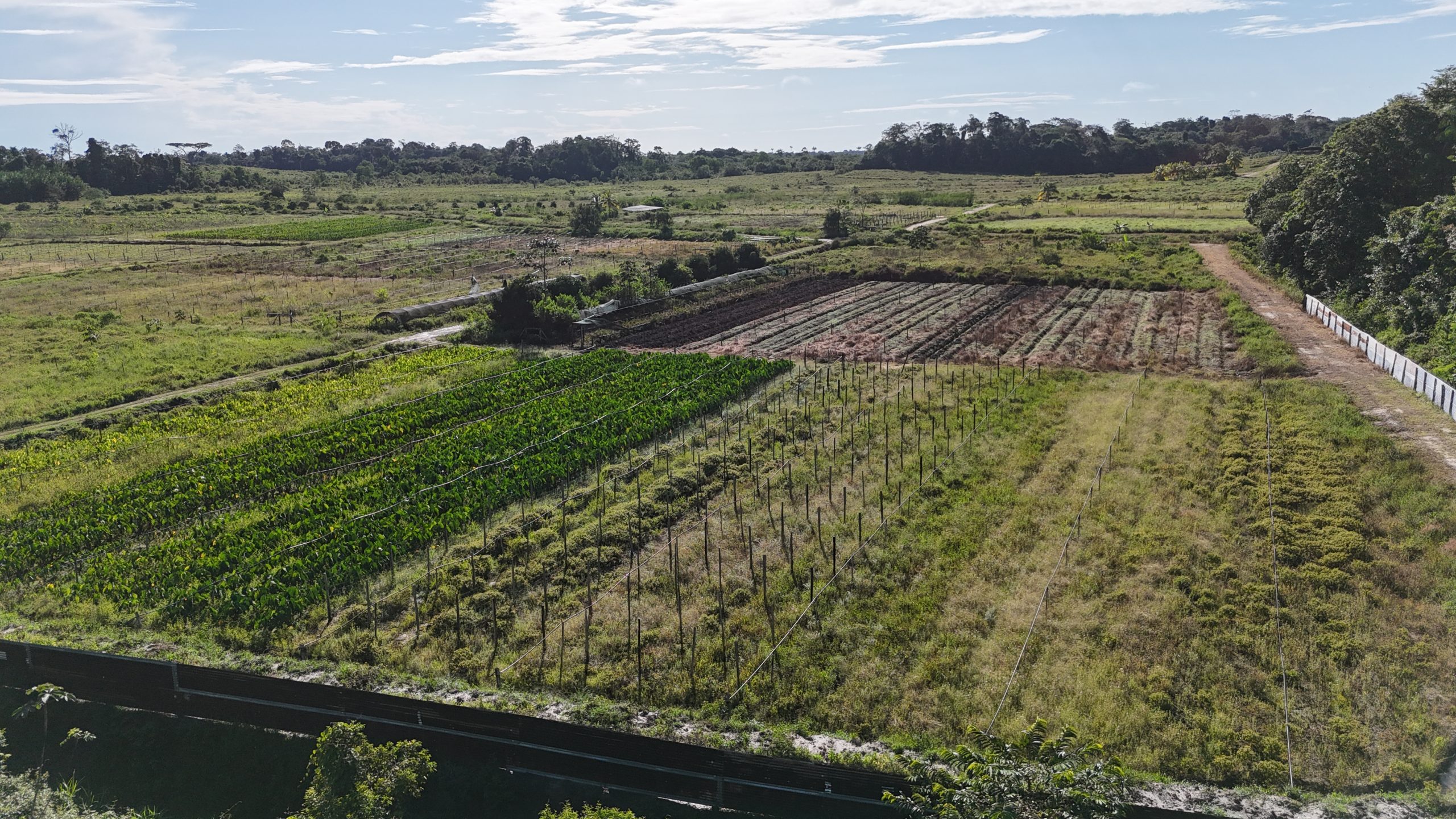 le Girardin agricole s’impose comme une réponse structurée à la double exigence d’optimisation fiscale et de sens donné à l’impôt